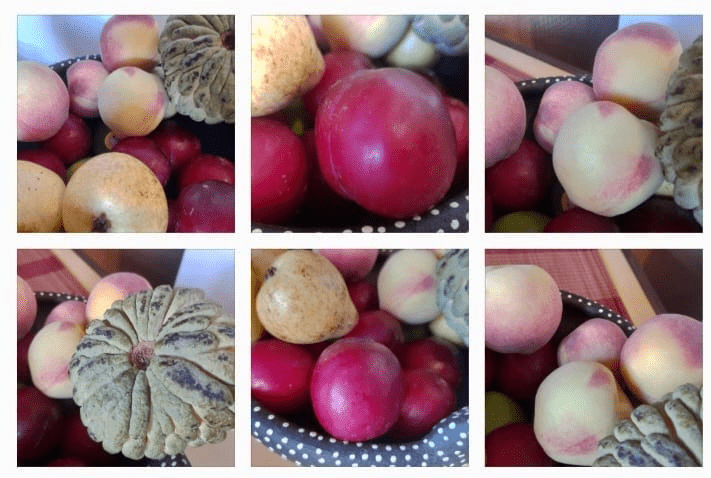 Museu do Açúcar e Doce