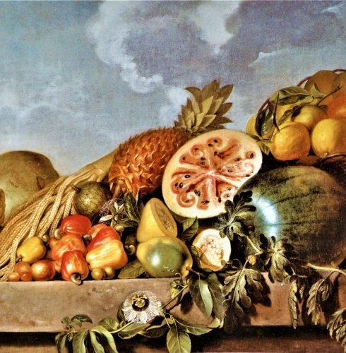 Frutas de Verão - Museu do Açúcar e Doce