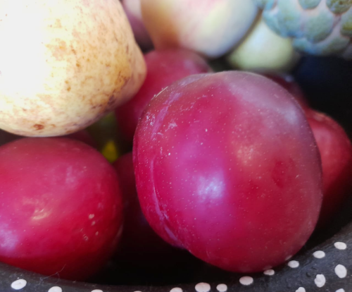 Fruteiras - Museu do Açúcar e Doce (foto Eduardo Gazal)