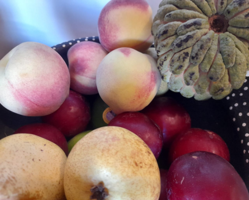 Fruteiras - Museu do Açúcar e Doce (foto Eduardo Gazal)