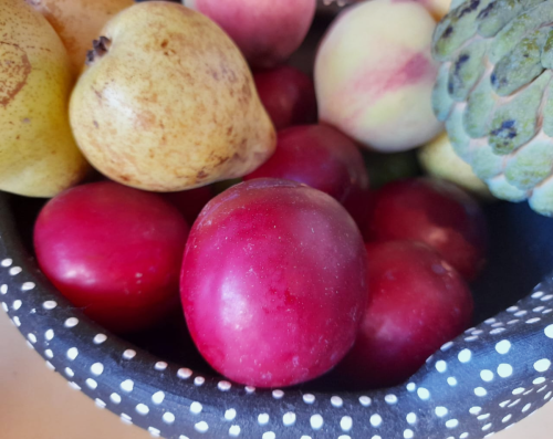 Fruteiras - Museu do Açúcar e Doce (foto Eduardo Gazal)